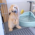 thumbnail image 3 of Miangastore Pet Toilet Ceramics Rabbit Cleaning Basin Fan-shaped Guinea Pig Toilet, 3 of 8