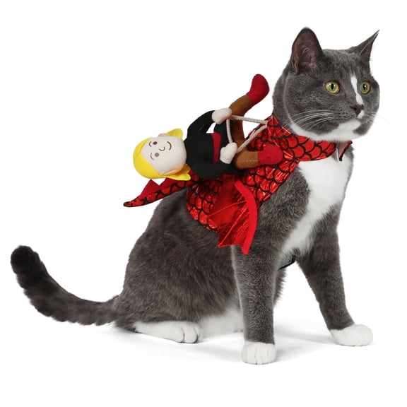 Vibrant Life Halloween Dragon Rider Costume for Dogs and Cats, Multicolor, Small