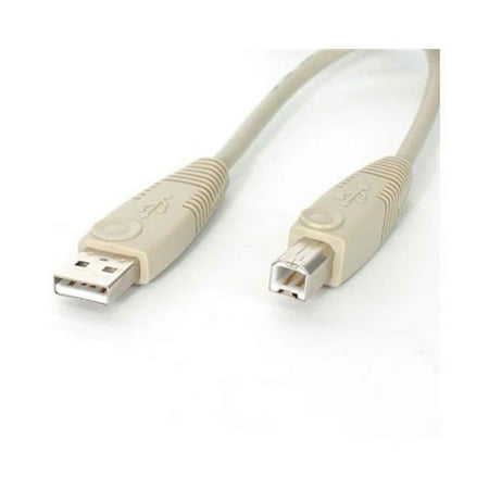 UPC: 0065030779982 | StarTech 6 Ft Beige A To B Usb Cable – M/m (USBFAB_6)