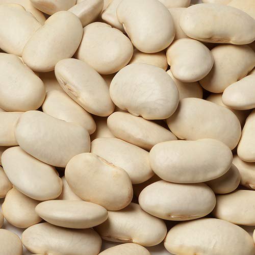 Jojo's Organics NonGMO Lima Beans 5 lbs Whole Beans US Bulk Dry