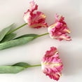 thumbnail image 4 of 1Pcs Colorful 3D Parrot Tulips Artificial Flowers Faux Tulips Real Touch Long Stem Fake Tulips Bouquet for Home Office Wedding Table Decor 26.7 ORANGE, 4 of 8