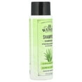 thumbnail image 3 of J R Watkins Shampoo, Aloe & Green Tea, 12 fl oz (354 ml), 3 of 4