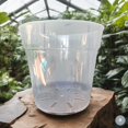 thumbnail image 1 of Karenplantsplants 9"" Clear Plastic Nursery Pot (Clear - 10 Pack), 1 of 5