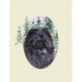 thumbnail image 1 of Carolines Treasures SS8048GF Chow Chow Flag Garden Size, 1 of 3
