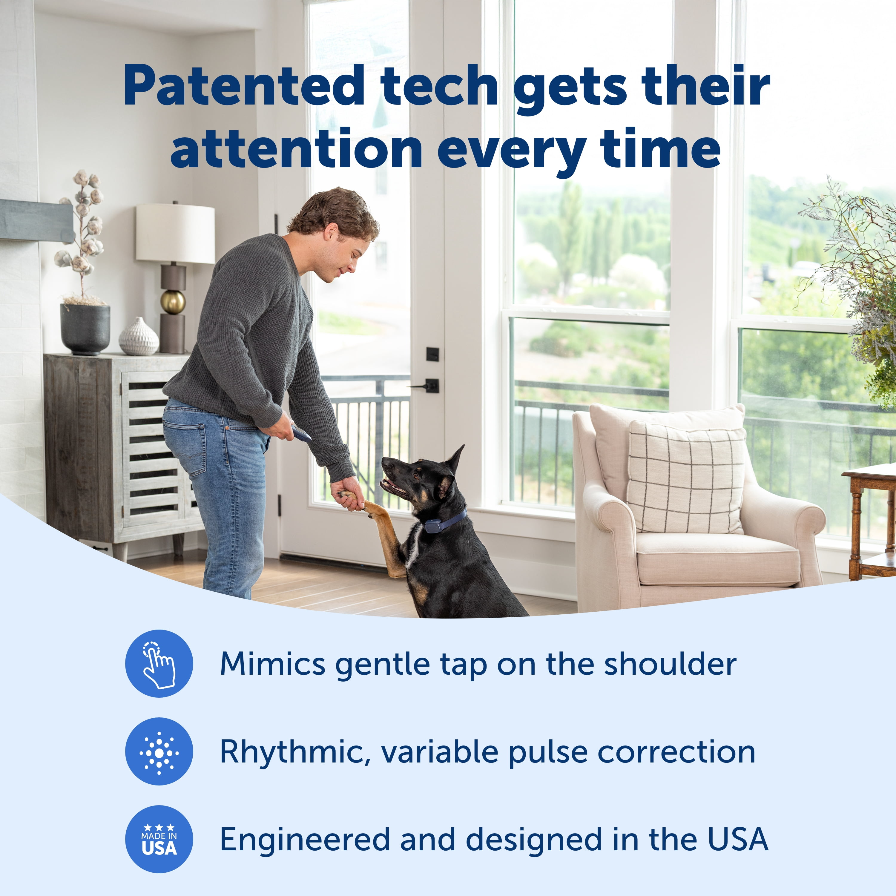 PetSafe Basic Dog Trainer with Remote – 300 ft Range – Tone, Vibration and Eight Levels of Static