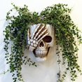 thumbnail image 1 of Macetero de pared con calavera para decoración del hogar, macetero gótico con esqueleto de resina para decoración de plantas de interior y exterior, color blanco, 1 of 5
