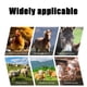 thumbnail image 5 of Herramientas para afeitar cerdos: cuchillas, discos raspadores para caras y patas de cerdo., 5 of 5