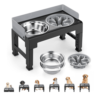 Beautiful Double Elevated Stainless Steel Pet Bowl, 4-Cup, Black