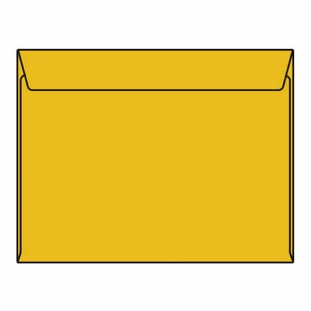 Open Side Booklet Envelopes, 9