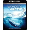 Imax: Wonders of the Arctic (4K Ultra HD + Blu-ray + Digital Copy), Shout Factory, Special Interests