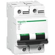 C120H-100A-2P Schneider circuit breakers
