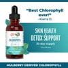 Vegan Chlorophyll Liquid Drops by MaryRuth's | Liquid Chlorophyll | Immune Support | Supports Detox | Overall Wellness | Mulberry Leaf-Derived | Non GMO, Peppermint | 50mg per Serving, 30 Servings