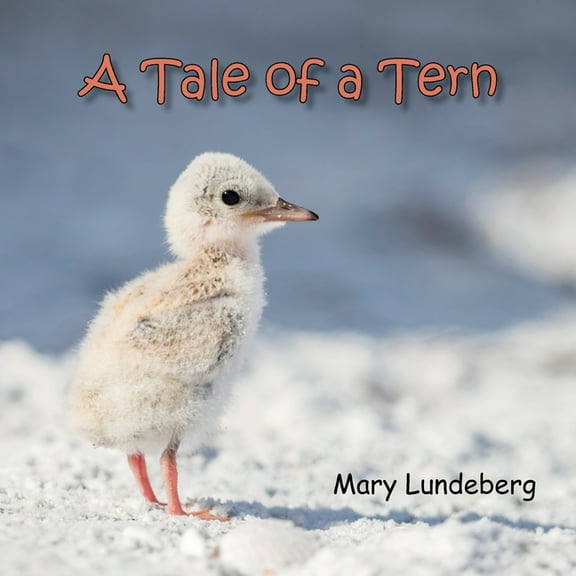 A Tale of a Tern, (Paperback)