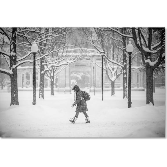 Trademark Fine Art "Winter Campus" Canvas Art by Jason Shaffer