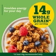 thumbnail image 4 of Nature Valley Crunchy Oats and Honey Granola Pouch, 16 oz, 4 of 15