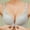 Gray, variant on Jacenvly Clearance Wireless Bras for Women Support Plus Ladies Bra Soild Wire Free Underwear One-Piece Bra Everyday Underwear