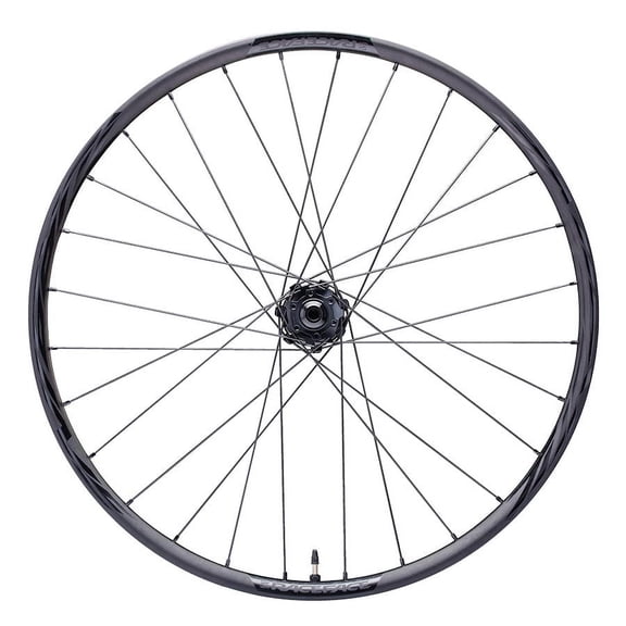 Race Face Turbine-R 35 29" Rear Wheel, 12x148 Boost XD - Black