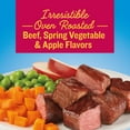 thumbnail image 3 of Kibbles 'n Bits Bistro Oven Roasted Beef Flavor Dog Food, 4.2-Pound, 3 of 11
