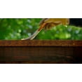 thumbnail image 7 of Ready Seal 125 1-Gallon Can Dark Walnut Exterior Wood Stain and Sealer, 7 of 7