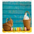 thumbnail image 3 of Ambesonne Easter Bunny Shower Curtain, Rabbits in Baskets, 69"Wx75"L, Multicolor, 3 of 3