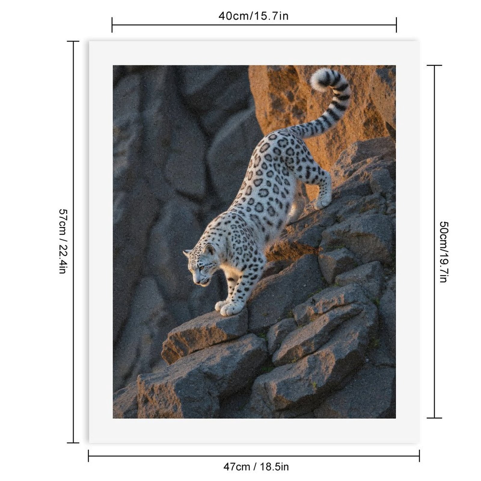 Paint by Numbers Kit for Adults, Snow Leopard Stepping Down Rocks Paint by Numbers, Easy Paint by Numbers Kit for Adults Beginner, DIY Adult Paint by Number Kits on Canvas, 12x16in Home Decor