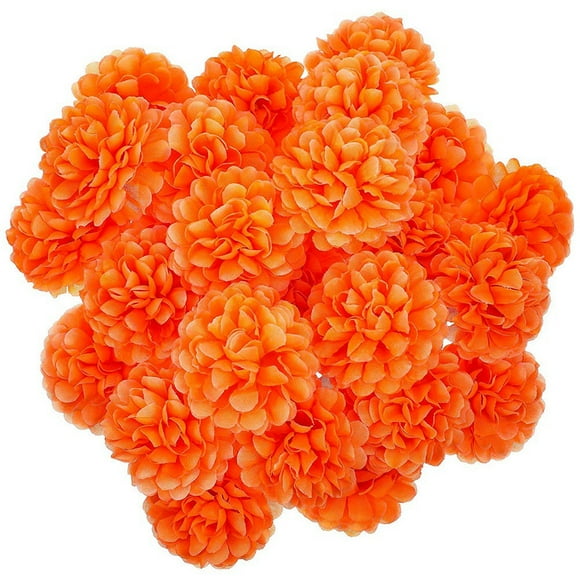 Marigolds Flower