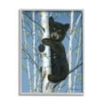 thumbnail image 4 of Stupell Industries Bear Cub Climbing Birch Tree Animals & Insects Painting Gray Framed Art Print Wall Art, 4 of 5