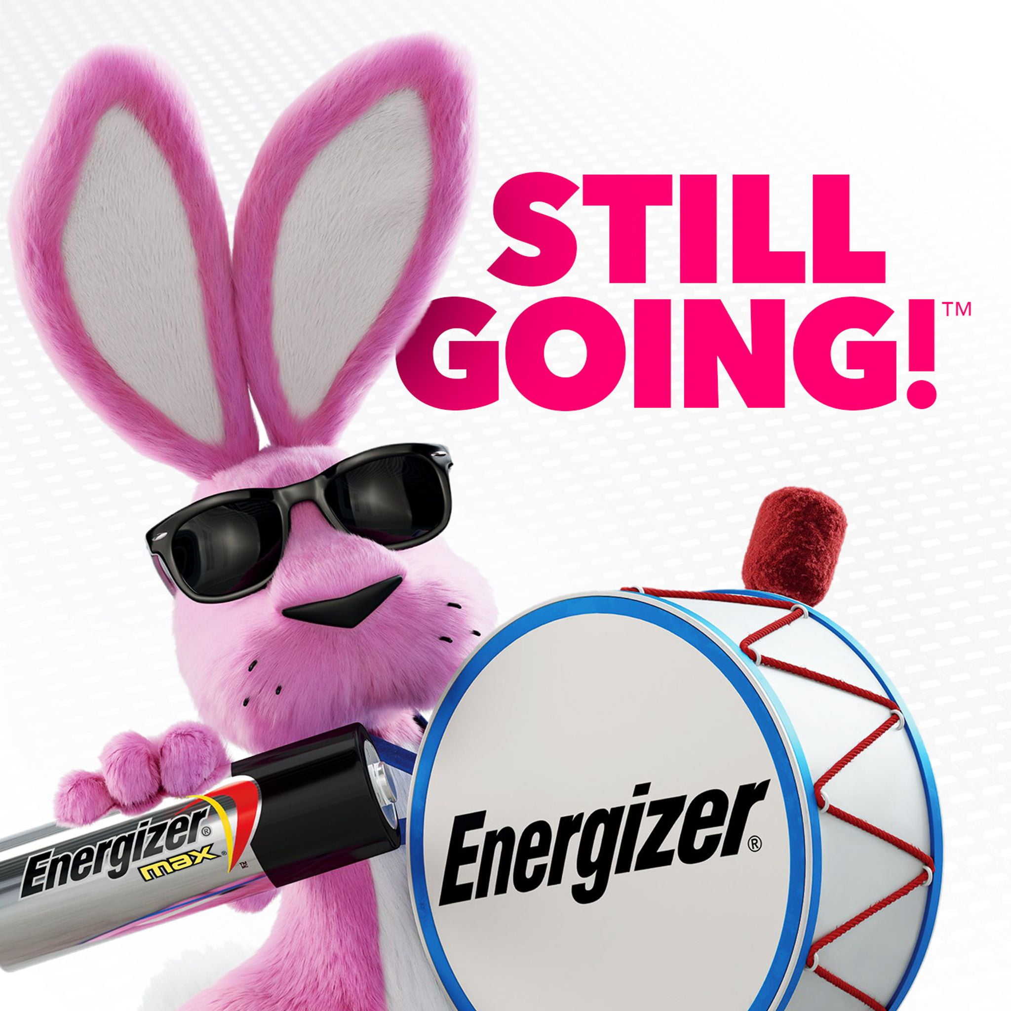 AAA Energizer Max Batteries-12 Count