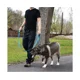 thumbnail image 2 of Pet Gear Correa para perros Correas de entrenamiento de seguridad con dos asas acolchadas de 1,5 m de largo, 2 of 5