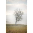 thumbnail image 2 of Jaynes Gallery 11x14 Black Ornate Wood Framed with Double Matting Museum Art Print Titled - USA-West Virginia-Davis Lone tree in foggy field, 2 of 4