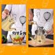 thumbnail image 5 of Olla de aceite de acero inoxidable con filtro - Acero inoxidable apto para uso alimentario, fácil de verter, pico antigoteo, práctico y versátil, 5 of 5