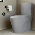 thumbnail image 4 of St. Tropez One-Piece Elongated Toilet Vortex™ Dual-Flush 1.1/1.6 gpf in Glossy Grey, 4 of 12