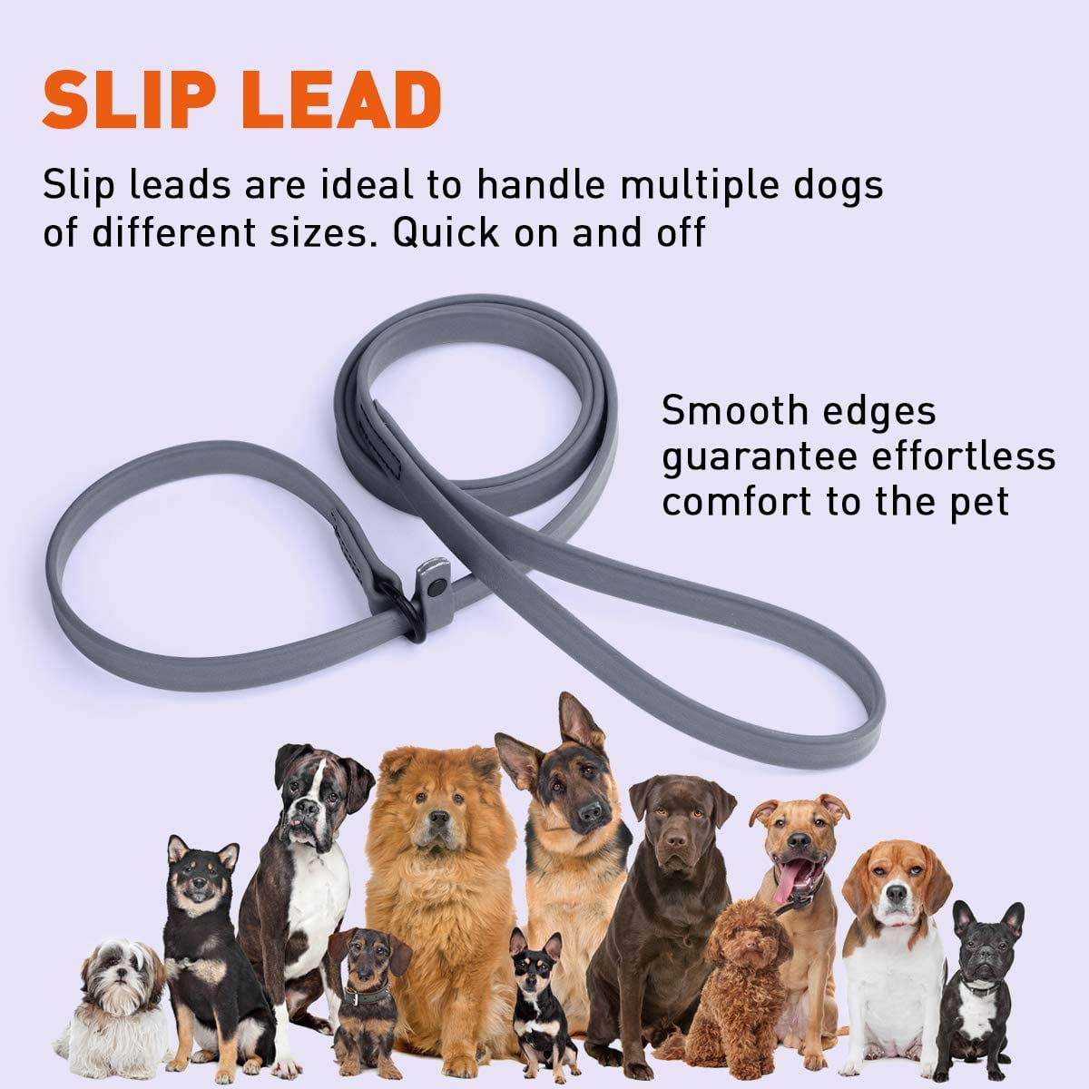 Dogline  - Biothane Slip Dog Leash - for Small, Medium and Large Dogs - Odor Free Slip Lead, Heavy Duty and Durable Material Kennel Lead (Gray: Width 5/8" | L: 60"(5ft))