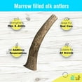 thumbnail image 3 of hotspot pets Antlers for Dogs, Naturally Shed Elk Antlers, All Natural Elk Antler Dog Chew Rawhide Alternative Made in USA - for Aggressive Chewers (Medium), 3 of 7