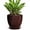 Brown, variant on Wliror 8 Inch Retro Blue Ceramic Plant Pot with Drainage – Vintage Round Planter for Indoor Plants, Succulents, Herbs