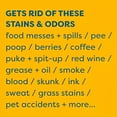 thumbnail image 5 of Kids ‘N’ Pets Stain and Odor Remover - 1 Gallon, 5 of 6