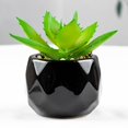thumbnail image 2 of Artificial Succulent Plant Mini - Plastic Greenery Decoration Faux Potted Plant, 2 of 5