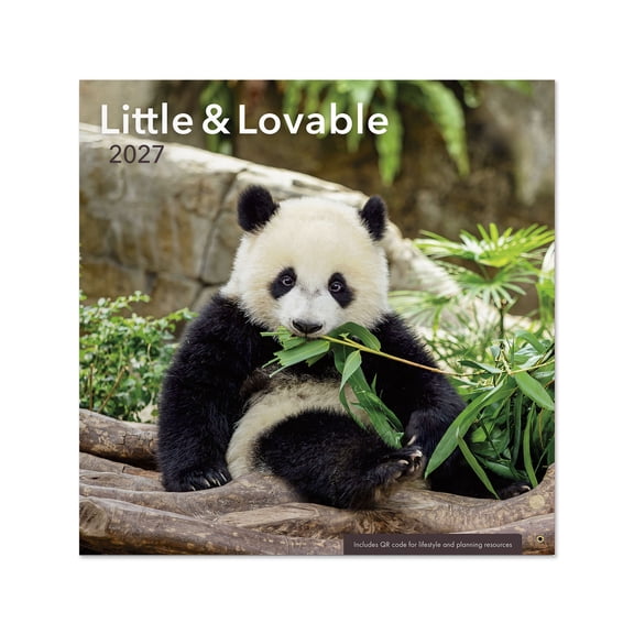 2027 Little & Lovable Wall Calendar 12x12 January-December Gridded