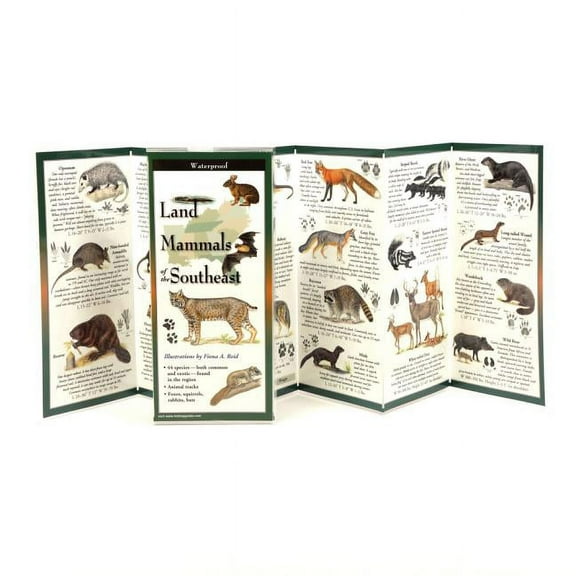 FoldingGuides: Land Mammals of the Southeast (Other)