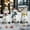 white, variant on Zawou Christmas Snowman Family Resin Statue Set, Indoor Holiday Décor for Living Room, Tabletop, or Shelf Display, Handcrafted Winter Scene, 3-Piece Set White