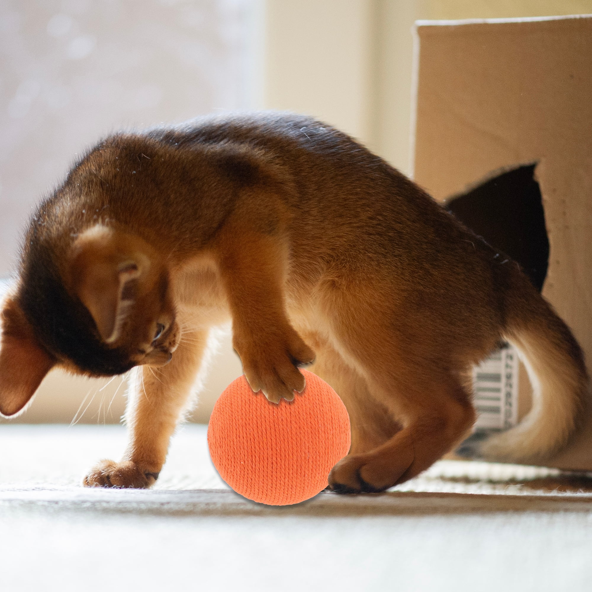 Unique Bargains Playing Ball with Bell for Cat Playtime Orange