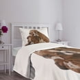 thumbnail image 5 of Ambesonne English Bulldog Quilted Bedspread Set 2 Pcs, Father and Son, Twin Size, Brown White Black, 5 of 6