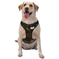 thumbnail image 1 of Wukai Classical Golden Casino Print Pet Harness, Pet Leash Vest - Adjustable Buckle, Reflective Design, Pet Accessories Suitable for Small, Medium and Large Dogs-X-Large, 1 of 6