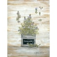 thumbnail image 2 of LaPoint, Annie 12x14 Black Ornate Wood Framed with Double Matting Museum Art Print Titled - Rosemary Botanical, 2 of 4