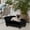Black, variant on Pet Sofa Bed with Storage for Cats & Small Dogs, Velvet Cushion, Space-Saving Design, Brown, 33 lbs Capacity