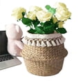 thumbnail image 3 of Joernso Nordic Two-Layer Tassel Woven Flower Holder Flowerpot Living Room Storage Basket, 3 of 6