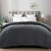EASELAND All Season Twin Size Soft Hypoallergenic Quilted Down Alternative Comforter,Grey