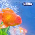 thumbnail image 2 of Alimento Premium Betta 8 G Lomas 8 g, 2 of 2