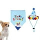 thumbnail image 3 of 1 gorro de fiesta de cumpleaños para mascotas., 3 of 3
