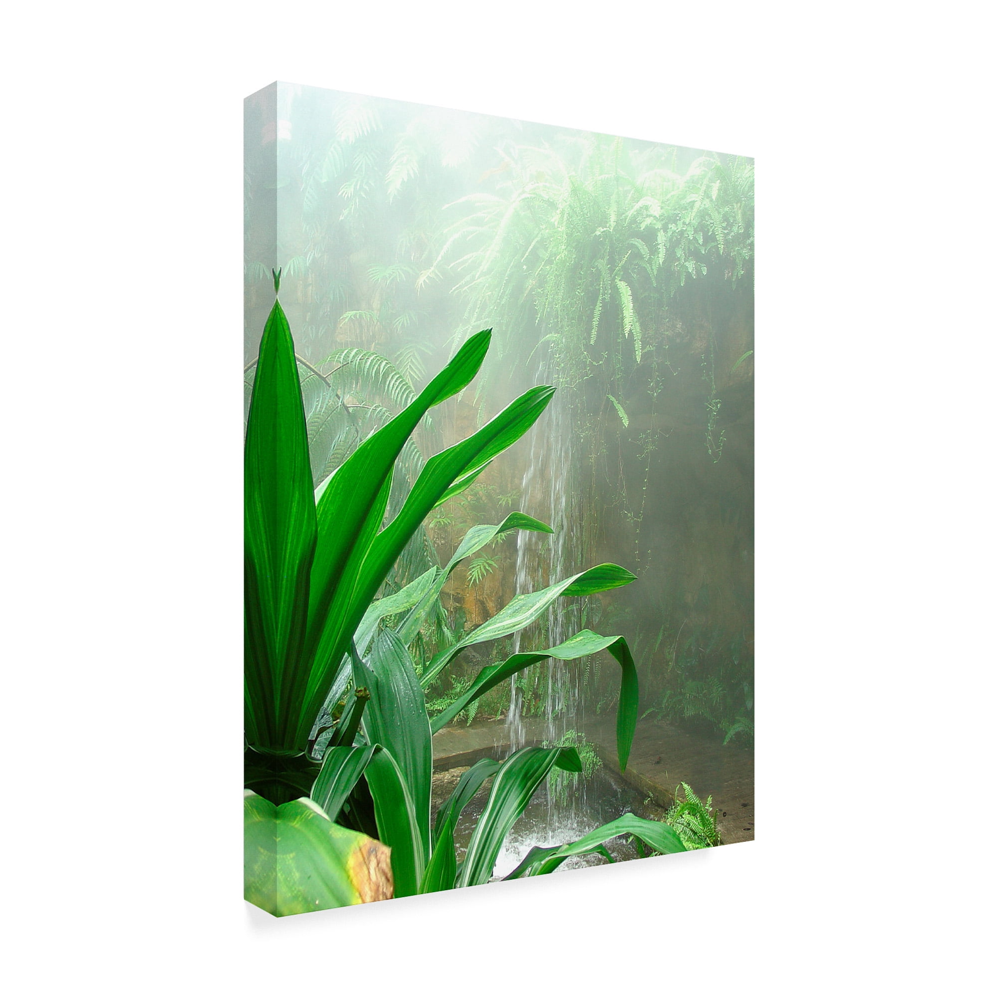 Trademark Fine Art 'Rainforest Leaves' Canvas Art by Audrey
